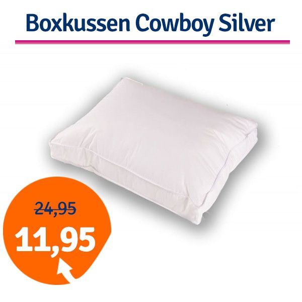 Een Dag Actie - Boxkussen Cowboy 50 X 60 X 10 Cm Silver