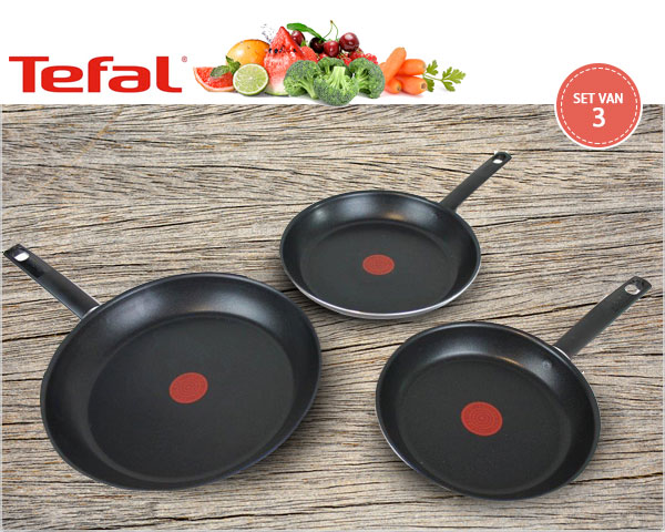 1 Day Fly Lady - 3-​Delige Tefal Koekenpannenset