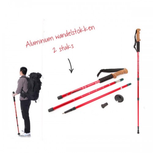 Gave Aktie - 2 Aluminium wandelstokken