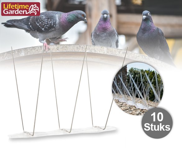 Groupdeal - Set van 10 Vogelpinnen