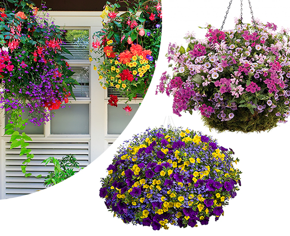 Groupdeal - VIER Gevulde Hanging Baskets