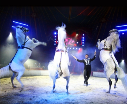 Groupdeal - Wintercircus in Amsterdam of Utrecht