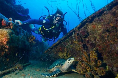 Groupon - Cursus Bij Diveversity (Waarde € 399)