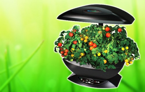 Super Dagdeal - AeroGarden: de automatische kweekkas voor kruiden!