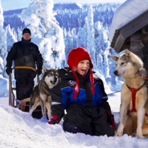 Super Dagdeal - Huskytocht met een overnachting in een tipi of een fakkeltocht op het strand