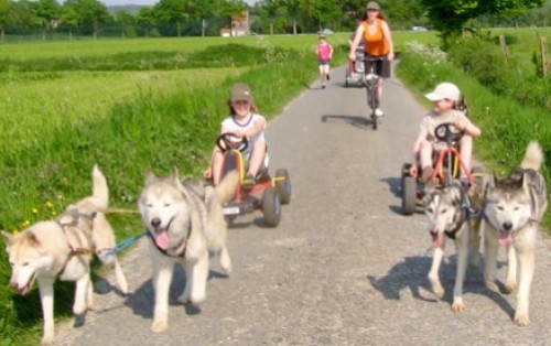 Super Dagdeal - Romantische fakkeltocht met huskyhonden op het strand aan de Zeeuwse kust